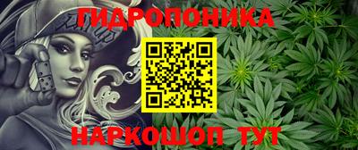 амф Вязьма