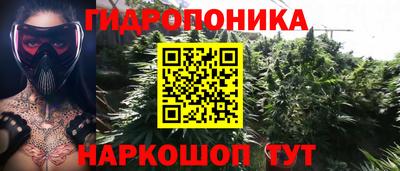 кокс Гулькевичи