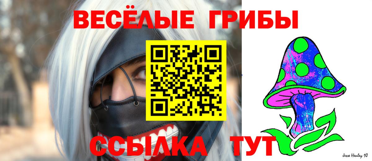Галлюциногенные грибы Psilocybine cubensis  Вход с VPN  Самара 